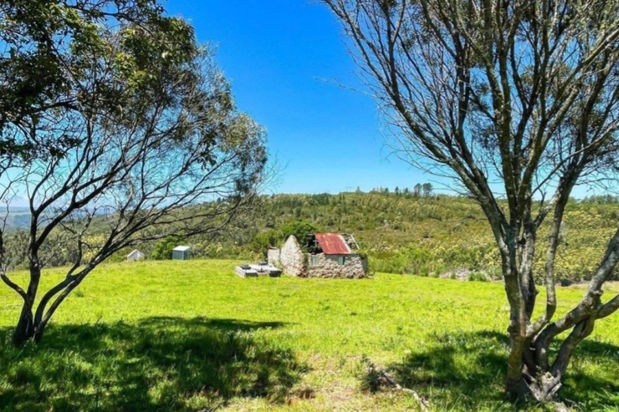 Commercial Property for Sale in Friemersheim Western Cape